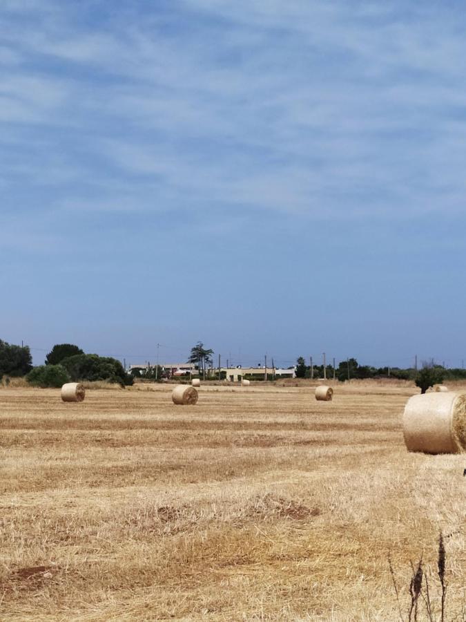 Dimora Dell'Ulivo Villa Polignano a Mare Esterno foto